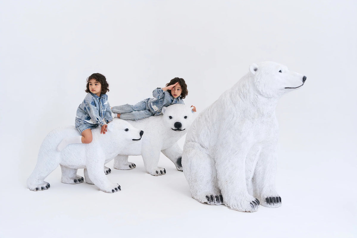 POLAR